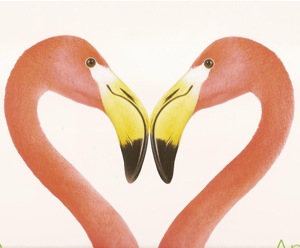 flamingos.heart